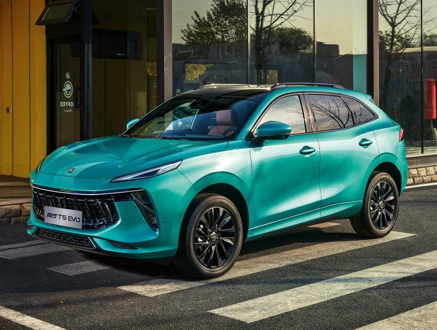 مقایسه لاماری ایما و دیگنیتی