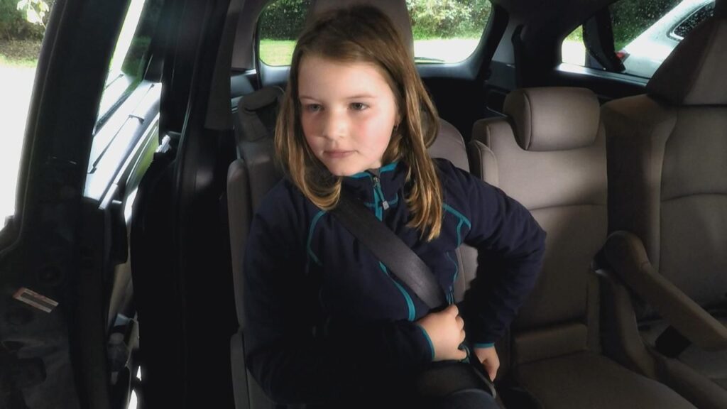 SBR خودرو چیست؟